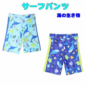 サーフパンツ　水着 海の生き物柄 ZAZZY ZAPS 110〜140cmプール 海 夏休み 海水浴 スイムパンツ 保育園 幼稚園 男の子