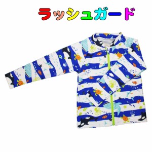 ラッシュガード 子供用 マリン柄 紫外線カット　UPF50＋　 UV CUT 　ZAZZY ZAPS　水着 夏休み 海 プール 日焼け