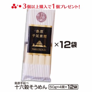 送料無料 島原手延べ十六穀そうめん48束（4束×12袋） ギフト お中元 のし対応