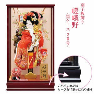 羽子板 お祝い 20号 嵯峨野 ガラスケース おしゃれ かわいい 可愛い コンパクト モダン 3万円以上 送料無料