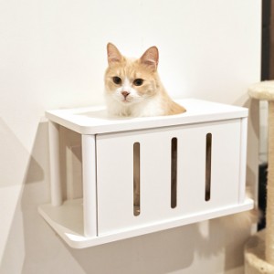 animacolle アニマコレ Catroad+ キャットトンネル  猫用 キャットステップ トンネル キャットタワー キャットウォーク DIY 壁 白 シンプ
