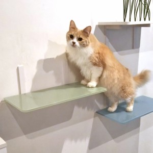 animacolle アニマコレ Catroad+ カラーステップ  猫用 キャットステップ カラー キャットタワー キャットウォーク DIY 壁 シンプル  