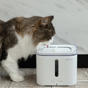 PETKIT ペットキット ドリンキング・ウォーターファウンテン 2S  ペット 猫用 犬用 給水器 循環 水飲み 水入れ 清潔 浄水 自動  