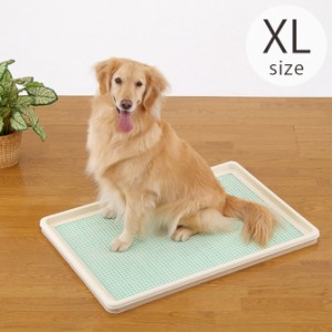 Bonbi ボンビアルコン しつけるトレー XL メッシュタイプ  トイレトレー ペットトレー ス―パーワイド 犬 メッシュ 大型 シンプル トイレ