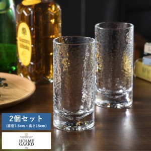 HOLMEGAARD FORMA ロングドリンクグラス 320ml ペア 2個 セット 