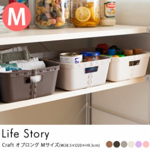 Life Story ライフストーリー craft  クラフト オブロング Mサイズ (単品) 収納ボックス おしゃれ ストレー