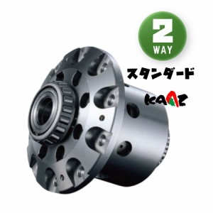 KAAZ カーツ LSD スタンダード 2way REAR スカイライン ECR33 1993/8〜1998/5 SAN2645