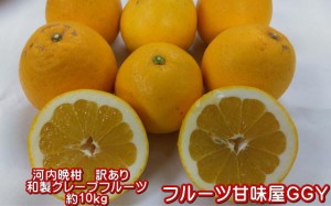 河内晩柑　訳あり　約10キロ（9ｋｇ+保証分500ｇ）ジューシーオレンジ　熊本産　宇和ゴールド　和製グレープフルーツ