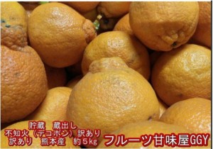 【蔵出し　貯蔵品】不知火　訳あり　デコポンと同品種　デコみかん　熊本産　約５kg　クール便発送　80サイズ