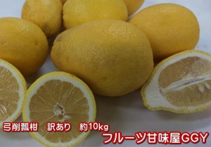 弓削瓢柑（サワーポメロ）訳あり　熊本産　1箱　箱込10キロ（9ｋｇ+保証分500ｇ）　ポメロ　ぽめろ　台湾ポメロ みかん ミカン 蜜柑