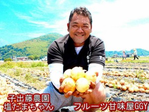 塩たまちゃん　訳あり　箱込10ｋｇ　子出藤農園　ＴＶ　鉄腕ダッシュで紹介　熊本産　塩たまねぎ　玉ねぎ　たまねぎ　新玉ねぎ　ねでふじ