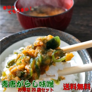 青唐辛子味噌 250g×20 お得な20個セット 青唐がらし おすそ分けに ご飯のお供/味噌　ご飯　味噌! 青唐辛子味噌 青唐辛子 おかず味噌 国