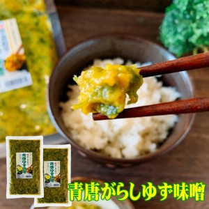 青唐ゆず味噌 250g×2個セット ご飯のお供 お中元 夏ギフト 食品 食べ物 味噌 ご飯　味噌! 青唐ゆず 青唐柚子 青唐辛子 おかず味噌 国産