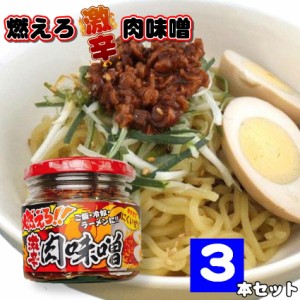 燃えろ!! 激辛肉味噌 200g×3 瓶詰め  ご飯のお供 激辛 肉味噌 ソイミート 豚肉 惣菜 おかず  おみやげ 畑の肉 おにぎり 豆腐 サラダ 惣