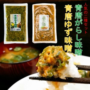 人気の2品　青唐辛子味噌 ・ 青唐ゆず味噌  250g×2 ご飯のお供 お中元 夏ギフト 食品 食べ物 味噌 ご飯　味噌! 青唐ゆず 青唐柚子 青唐