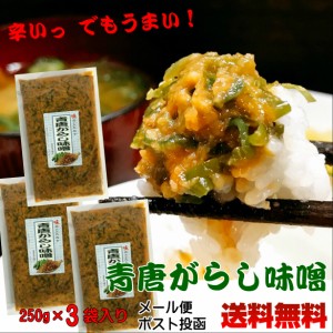 青唐がらし味噌 250ｇ×3個セット 【メール便ポスト投函】【送料無料】