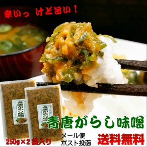 青唐がらし味噌 250ｇ×２個セット 【メール便】【ポスト投函】【送料無料】