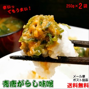 青唐がらし味噌 250g×2個セット 【メール便】【お試し】【送料無料】  ご飯のお供 お取り寄せグルメ ごはんのとも 国産みそ使用 青唐辛