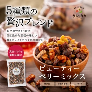 無添加 ビューティー ベリーミックス 500g 送料無料 ノンオイル ドライフルーツ 砂糖不使用