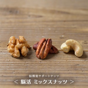 脳活 ナッツ 無添加 素焼き 無塩 1kg 送料無料