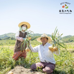 淡路島 玉ねぎ 新玉ねぎ 3kg 送料無料 / オニオンスープ 無農薬野菜 減農薬 無農薬 有機 野菜 サラダボウル サラダ玉ねぎ