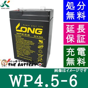 WP4.5-6 ロングバッテリー KUNG LONG 互換 UB645