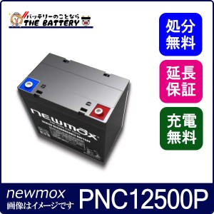 PNC12500P 電動車椅子 バッテリー シニアカー 電動カート サイクルバッテリー ニューマックス 互換 HC38-12 NP38-12 HF44-12 産業用 バッ