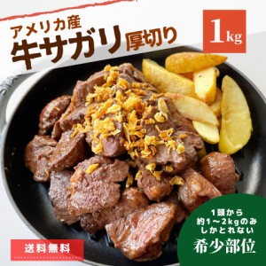 牛肉 サガリ 1kg 送料無料 まとめ買い 肉 冷凍 冷凍食品 煮込み用 アメリカ産 牛 牛肉 肉 訳あり ホルモン スライス 焼肉 バーベキュー 