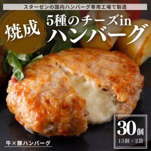 ラスト1点 チーズインハンバーグ 30個 2.7kg (15個入×2袋) 大特価 冷凍食品 大容量 ハンバーグ お徳用 お得用 5種 チーズイン 業務用 お