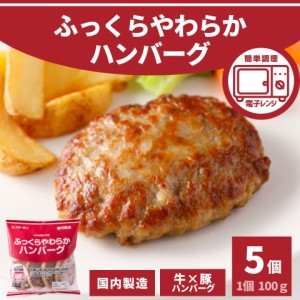 ハンバーグ ポイント消化 5個入り 500g  冷凍食品 スターゼン 大容量 国内製造 業務用 冷凍 お買い得 肉屋のこだわり プレーン 旨味 ポイ