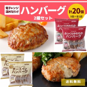 ハンバーグ 冷凍 2種 セット 1.9kg 20個 冷凍総菜 送料無料 肉 国内製造 簡単調理 手軽 電子レンジ ギフト 温めるだけ レンジ チーズイン