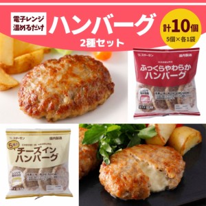 ハンバーグ セット 10個入 950g 冷凍食品 温めるだけ 電子 レンジ 冷凍 クリスマス プレーン チーズインハンバーグ ギフト 冷凍食品 大容