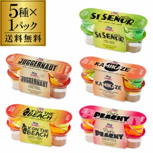 【お試し送料無料】スリングショット 5種セット 5種×3本（計15本）16度 リキュール ショット飲み sling shots