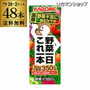 カゴメ 野菜一日これ一本 200ml 48本 送料無料 2ケース 紙パック 野菜ジュース 長S 母の日 父の日