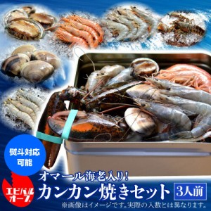 送料無料 海老バルorb オマール海老(400g)入り 豪華海鮮カンカン焼きセット(3人前) BBQ キャンプ クール込 産地直送 orb (産直)