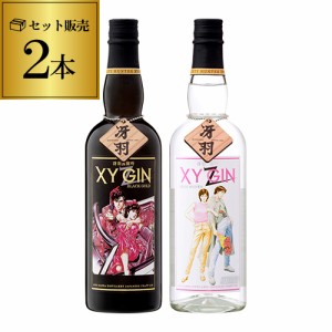 XYGIN BLACKGOLD + PINKSILVER 2本セット 45度700ml エックスワイジン ピンクシルバー ブラックゴールド