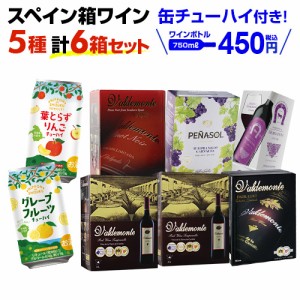 期間限定缶チューハイ付き ボトル換算450円(税込) 送料無料 赤だけ箱ワイン 5種6箱セット 長S