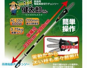 高枝電動チェーンソー 【高枝切り電動チェーンソー3プラス　電動高枝チェーンソー 電動枝切り 電動高枝切り 高枝チェーンソー 高枝電動チ