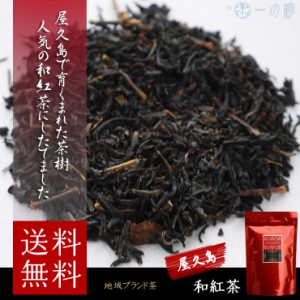 屋久島 和紅茶 70g 茶葉 国産 鹿児島