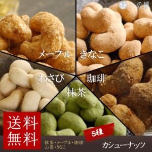 豆菓子 カシューナッツ 5種類の味セット きなこ 抹茶 メープル コーヒー わさび　メール便 送料無料