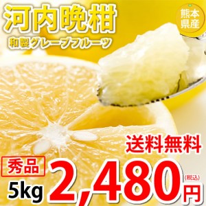 河内晩柑 文旦 みかん 送料無料 秀品 5kg M 2l 和製グレープフルーツ お取り寄せ 熊本県産 ジューシーオレンジ 美生柑の通販はau Pay マーケット Foodys 商品ロットナンバー