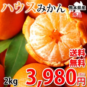 みかん ハウスみかん 送料無料 2kg 熊本県産 蜜柑 ミカン 温室みかん ギフト 贈答 御中元 フルーツ