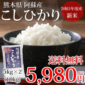 こしひかり 10kg 5kg×2 米 送料無料  令和5年産 新米 熊本県阿蘇産 地域限定米 お米 新米 こめ ひのひかり