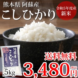 こしひかり 5kg 米 送料無料 熊本県阿蘇産 新米 令和5年産 お米 白米 玄米 ひのひかり 森のくまさん