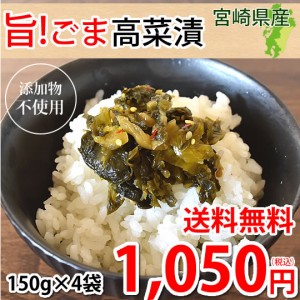 高菜漬 ごま高菜 漬物 600g（150g×4袋） 送料無料 ポッキリ お試し お取り寄せ 宮崎県産 胡麻たかな つけもの