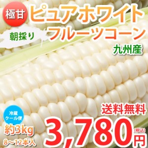 とうもろこし ピュアホワイト 送料無料 約3kg 8〜12本入り 九州産 白いとうもろこし 極甘フルーツコーン スイートコーン 雪の妖精