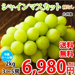 〈クール便でお届け〉 シャインマスカット ぶどう 送料無料 2kg 3〜5房 九州産 マスカット 葡萄 ブドウ