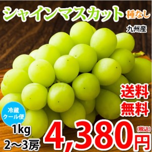 〈クール便でお届け〉 シャインマスカット ぶどう 送料無料 1kg 2〜3房 九州産 マスカット 葡萄 ブドウ