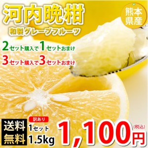 河内晩柑 みかん 訳あり 送料無料 和製グレープフルーツ 1.5kg S〜3L 2セットで1セット 3セットで3セットおまけ お取り寄せ 晩柑 熊本県