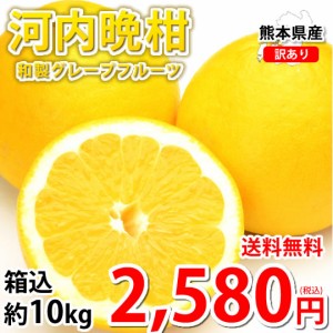 みかん 10kg 1000円の通販 Au Pay マーケット